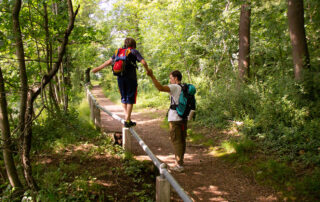 Telente Entdecken bei We Move